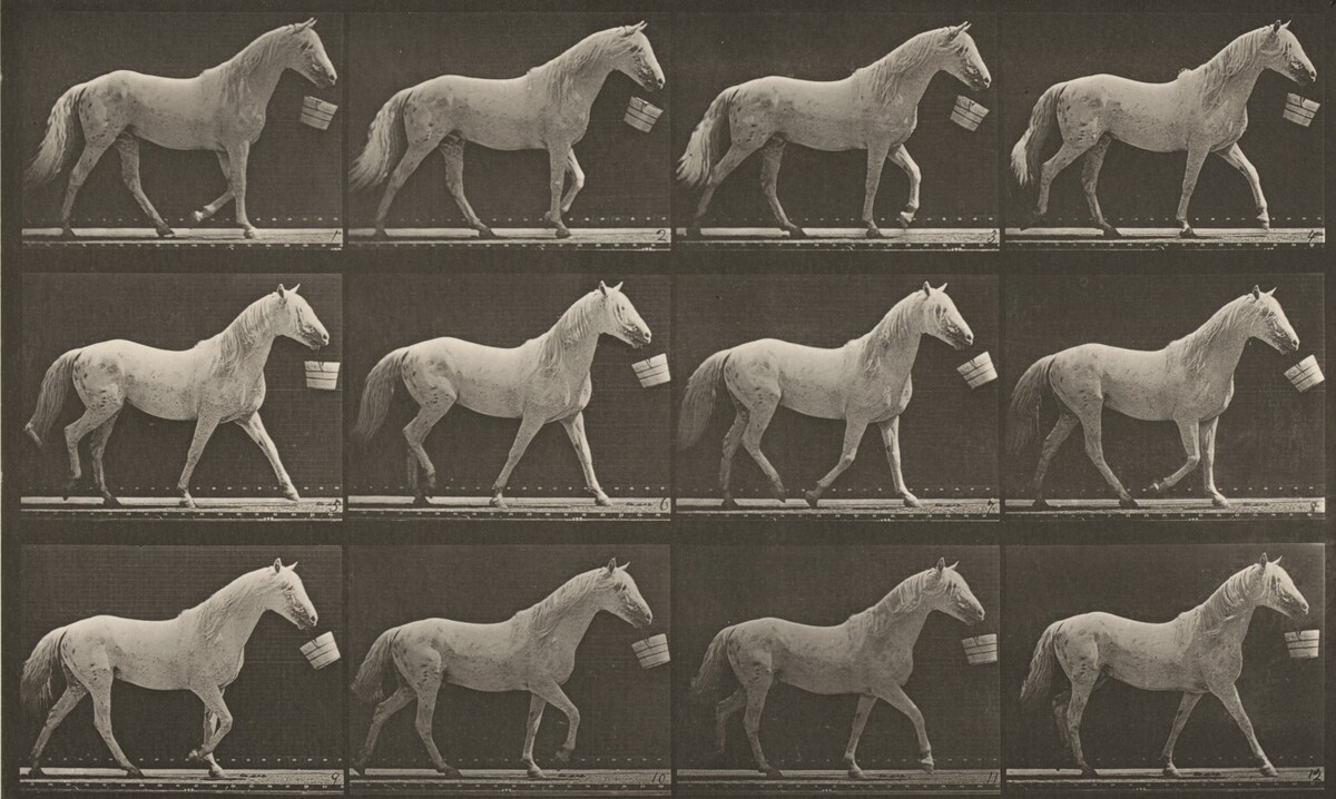 Eadweard Muybridge